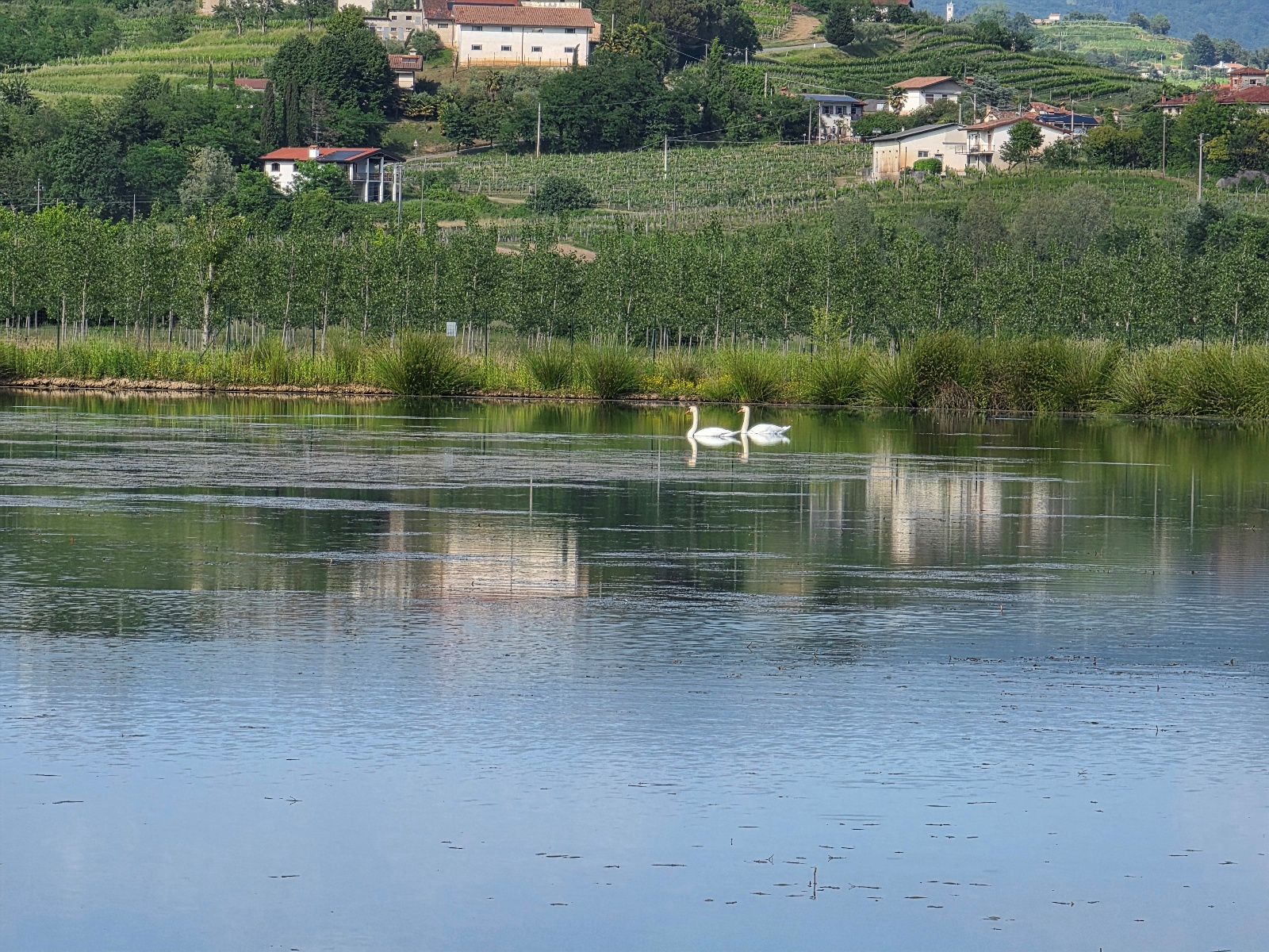 AGRICOLTURA. BERNARDIS (FP): BACINO DI ZEGLA STRATEGICO PER IL COLLIO